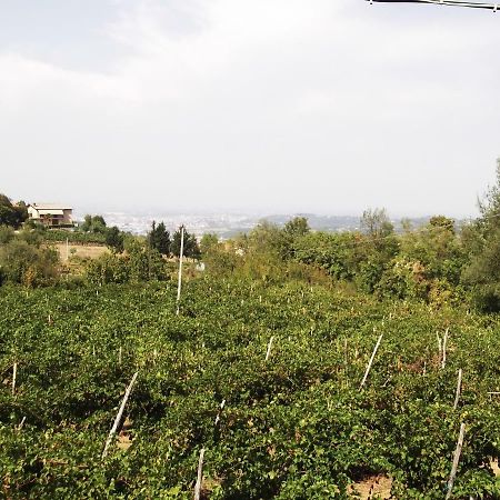 فيلا La Panoramica Perarolo المظهر الخارجي الصورة