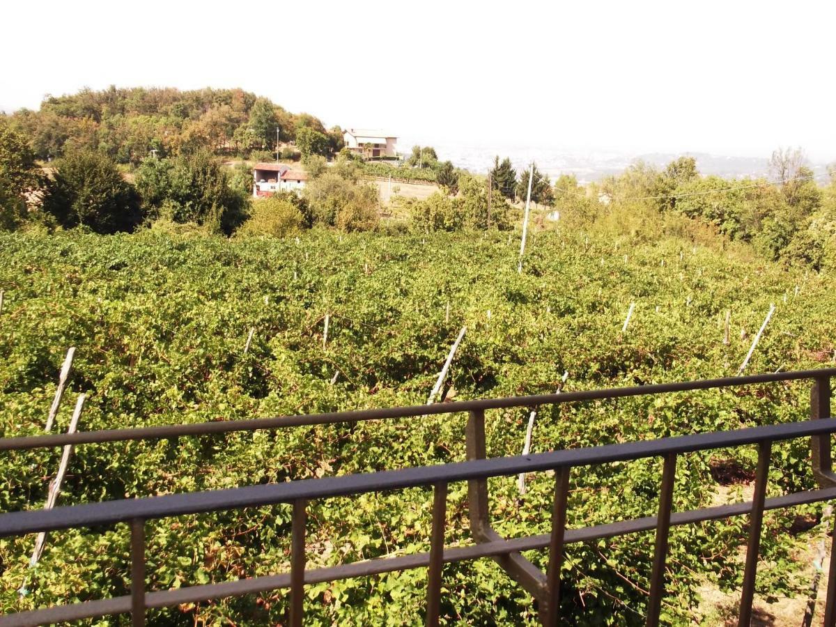 فيلا La Panoramica Perarolo المظهر الخارجي الصورة